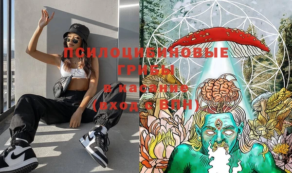 гидропоника Верея
