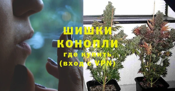 гидропоника Верея